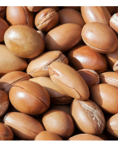 HUILESENS - Huile d'Argan - Répare & Nourrit- 30 ml